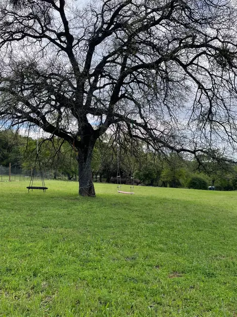15878 Vierra Rd, Rackerby, CA 95972 photo 32
