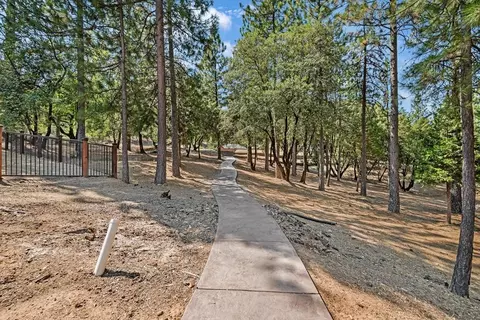 4460 Meadowlark Way, Placerville, CA 95667 photo 41