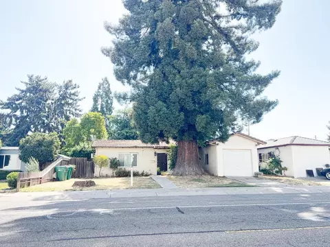 728 N Mills Ave, Lodi, CA 95242 photo 17
