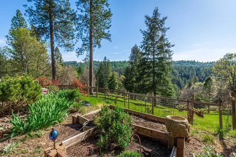 Exterior - 3118 Harmony Hill Rd, Placerville, CA 95667 photo 26 of 44