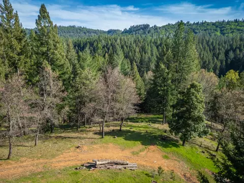Exterior - 3118 Harmony Hill Rd, Placerville, CA 95667 photo 44 of 44