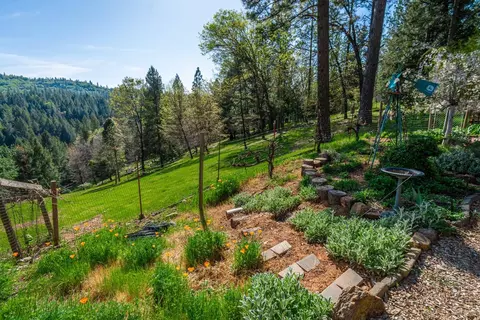 Exterior - 3118 Harmony Hill Rd, Placerville, CA 95667 photo 27 of 44