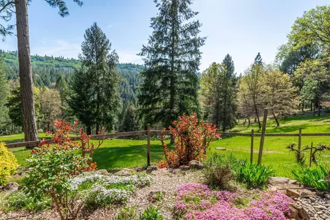 Exterior - 3118 Harmony Hill Rd, Placerville, CA 95667 photo 25 of 44