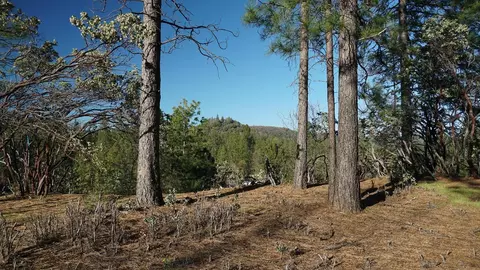 660 Chief Kelly Dr, Nevada City, CA 95959