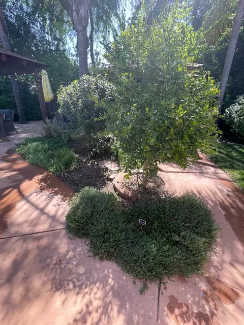 3500 Brookstone Dr, Turlock, CA 95382 photo 47
