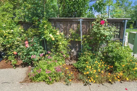 Exterior - 250 Tern Pl, Davis, CA 95616 photo 11 of 13