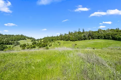 1556 State Highway 49, Placerville, CA 95667 photo 49