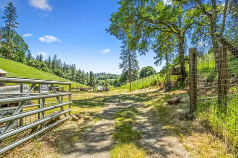 1556 State Highway 49, Placerville, CA 95667 photo 4