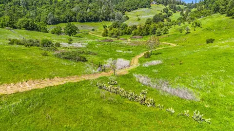 1556 State Highway 49, Placerville, CA 95667 photo 41