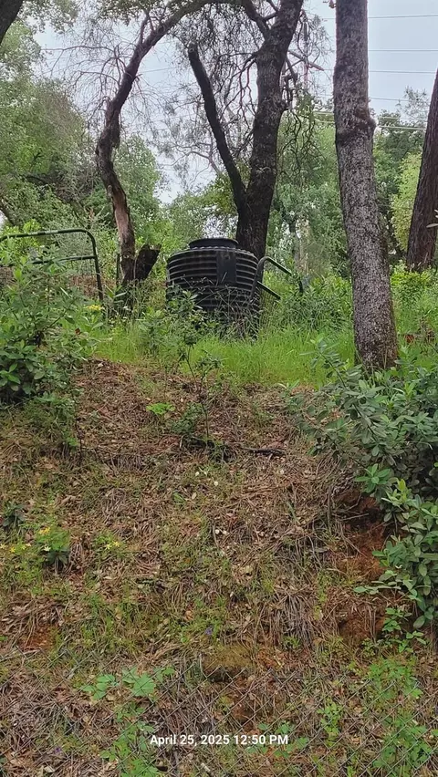 303 Stone House Rd, Auburn, CA 95603 photo 13
