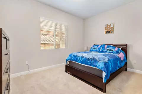 353 Michael Cox Ln, Tracy, CA 95377 photo 26