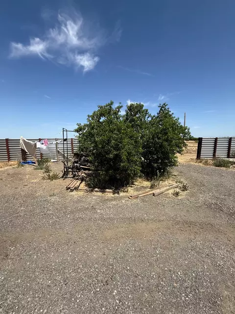 Exterior - 1407 E Las Palmas, Patterson, CA 95363 photo 5 of 8