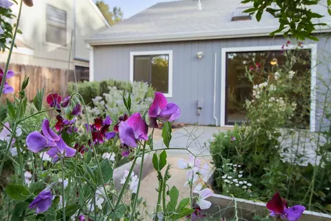 1015 Pamplona Ave, Davis, CA 95616 photo 38