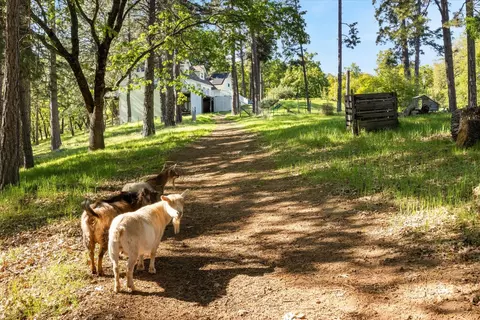 Exterior - 4540 Kruk Trl, Placerville, CA 95667 photo 5 of 19