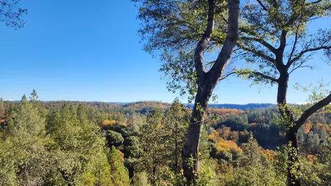 View/Area - 500 Hilltop Ct, Applegate, CA 95703 photo 4 of 4