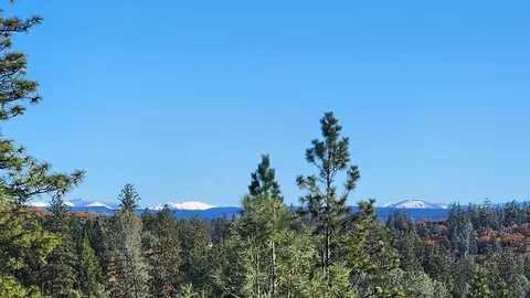 View/Area - 500 Hilltop Ct, Applegate, CA 95703 photo 3 of 4