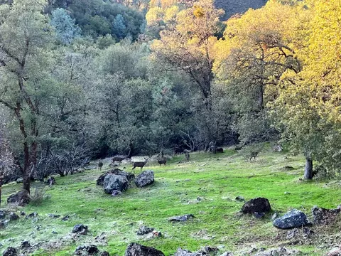 Other - 4701 Woodsman Loop, Placerville, CA 95667 photo 12 of 24