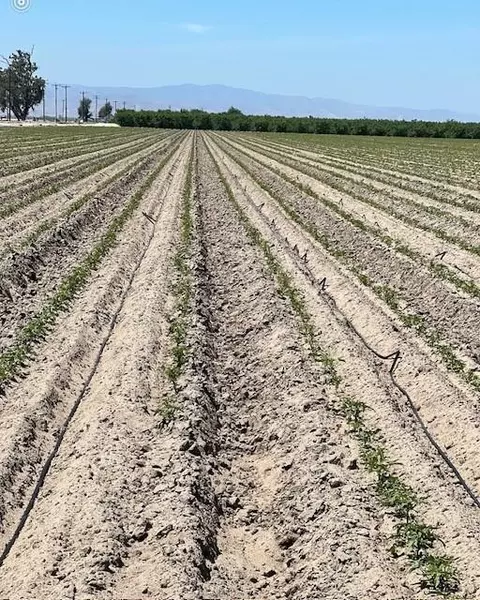 9375 Crows Landing Rd, Ceres, CA 95307 photo 1