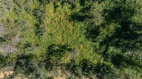 348 Marshall St, Grass Valley, CA 95945 photo 18