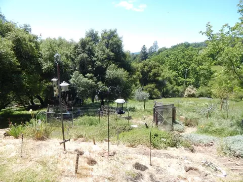 3760 Springer Rd, Placerville, CA 95667 photo 10
