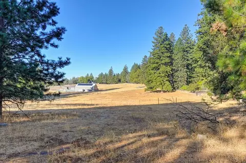 19677 Shake Ridge Rd, Volcano, CA 95689 photo 23