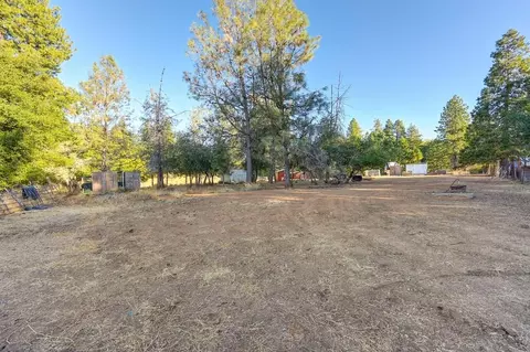 19677 Shake Ridge Rd, Volcano, CA 95689 photo 15