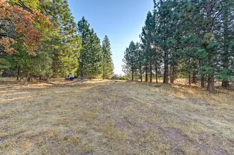 19677 Shake Ridge Rd, Volcano, CA 95689 photo 22
