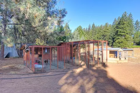 19677 Shake Ridge Rd, Volcano, CA 95689 photo 18