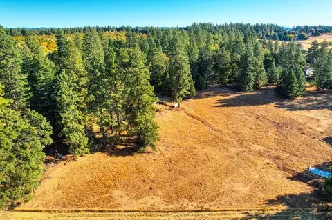 19677 Shake Ridge Rd, Volcano, CA 95689 photo 3