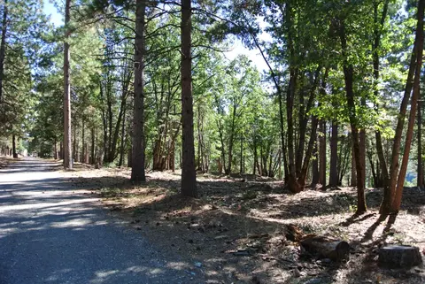 29 Ridge View Rd, Foresthill, CA 95631 photo 5