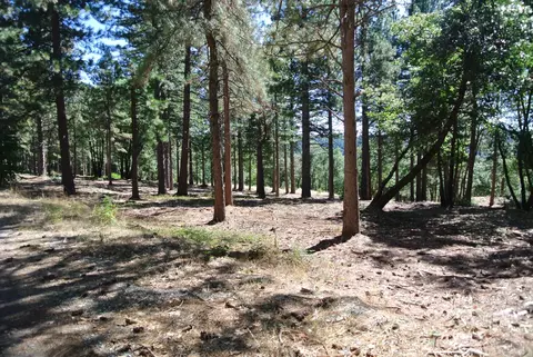 29 Ridge View Rd, Foresthill, CA 95631 photo 3