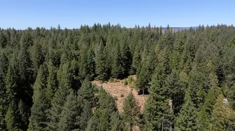 3772 Tin Ranch Rd, Georgetown, CA 95634 photo 3