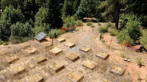3772 Tin Ranch Rd, Georgetown, CA 95634 photo 5