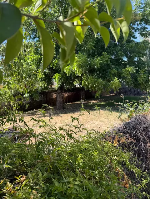 115 Fig St, Roseville, CA 95678