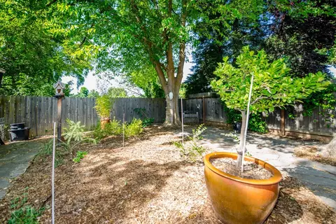 301 Grant Ave, Winters, CA 95694 photo 34