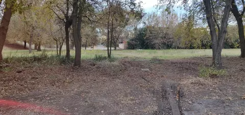 0 Magnolia Ave, Courtland, CA 95615