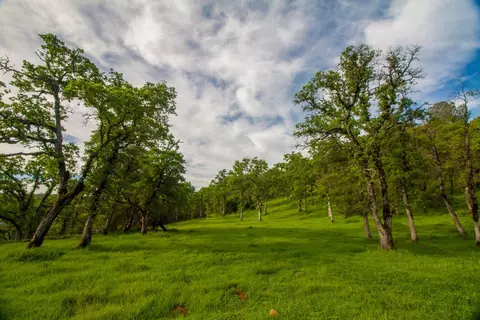 6 Dutch Flat Trl, Smartsville, CA 95977