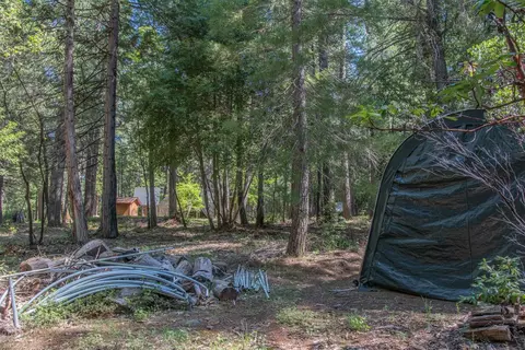 7440 Bear State Rd, Georgetown, CA 95634 photo 7