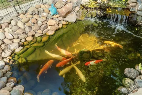 1741 Patton Dr, Modesto, CA 95356 photo 53