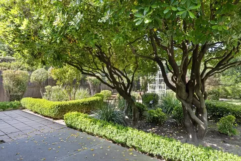 Exterior - 641 Cleveland St, Davis, CA 95616 photo 12 of 18