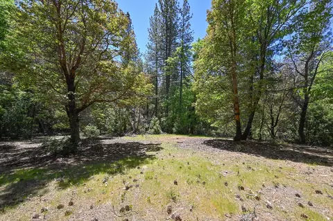 3192 Buckeye Ct, Placerville, CA 95667 photo 39