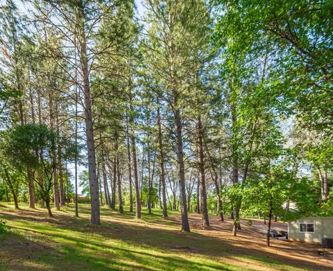 6570 Mosquito Rd, Placerville, CA 95667 photo 54