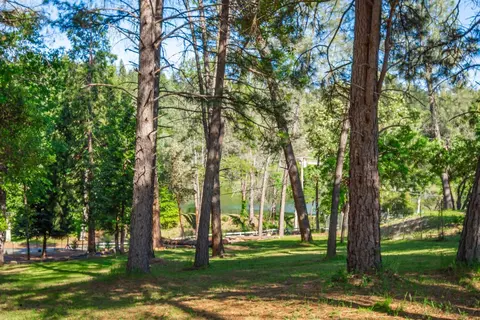6570 Mosquito Rd, Placerville, CA 95667 photo 50