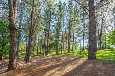 6570 Mosquito Rd, Placerville, CA 95667 photo 53