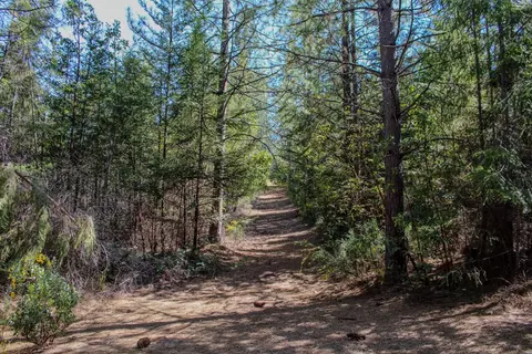 5734 Wilder Rd, Georgetown, CA 95634 photo 5