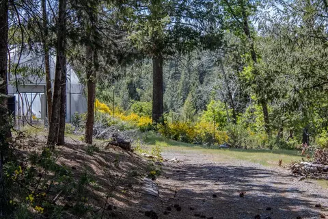 5734 Wilder Rd, Georgetown, CA 95634 photo 9