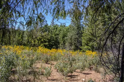 5734 Wilder Rd, Georgetown, CA 95634 photo 29