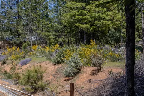 5734 Wilder Rd, Georgetown, CA 95634 photo 63