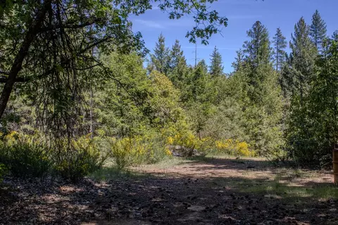 5734 Wilder Rd, Georgetown, CA 95634 photo 89