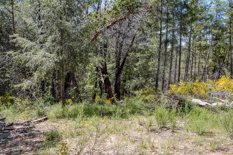 5734 Wilder Rd, Georgetown, CA 95634 photo 90